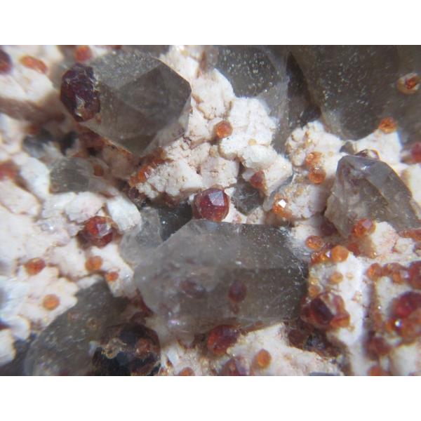 SPESSARTINE(΂񂴂)126