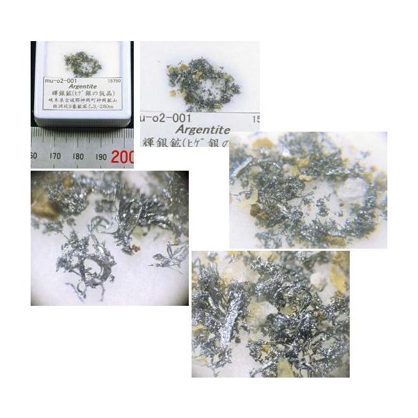 Argentite(Pz)򕌌_zR2001