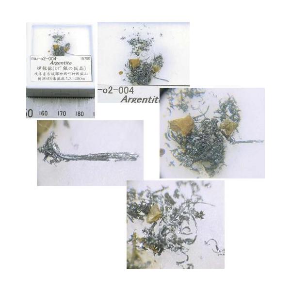 Argentite(Pz)򕌌_zR2004