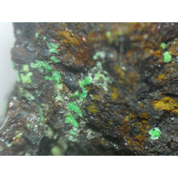 CONICHALCITE(コニカルコ石)山口県喜多平鉱山6050 : ラピス - 通販