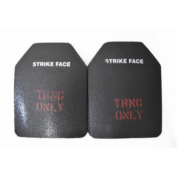 ダミープレート ヘビーウェイト 2枚セット : SPECTRE SIGNS GEAR