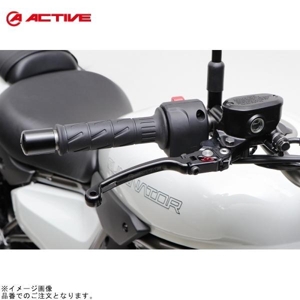 ACTIVE アクティブ 12070101 STFブレーキレバー ブラック NINJA250