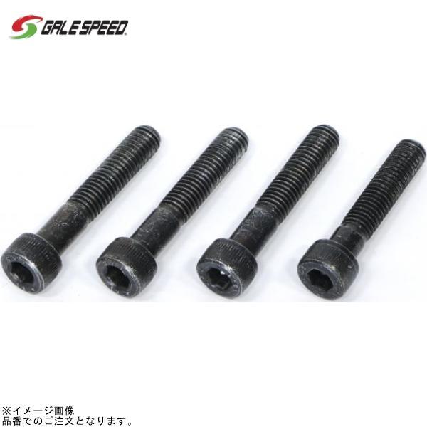 GALE SPEED ゲイルスピード 29300137 ブリッジボルトセット (ビレットキャリパー フロント用)