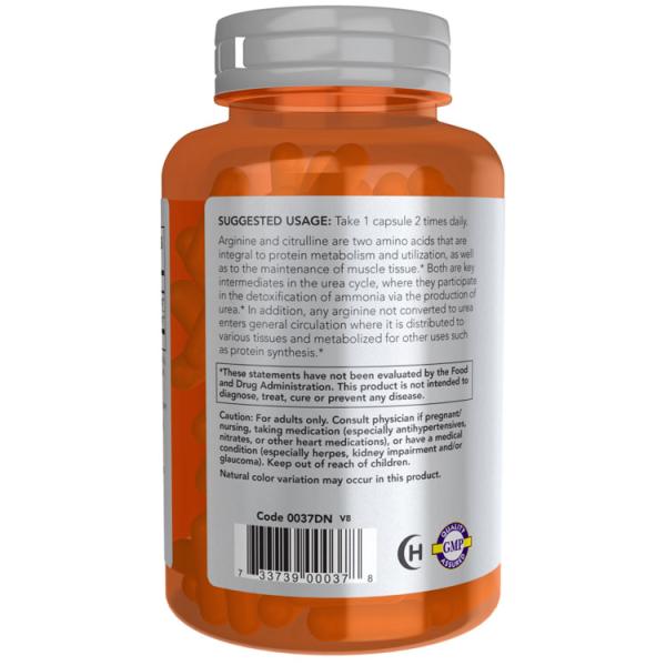 speedbody_nf-00037_3_d_20260403110702