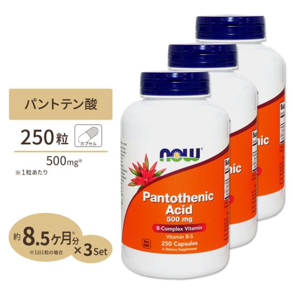 パントテン酸カルシウム 250粒 NOW Foods ナウフーズ 3個セット