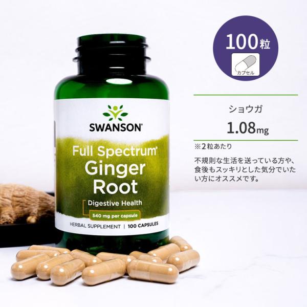 スワンソン フルスペクトラム ジンジャー ルート 540mg