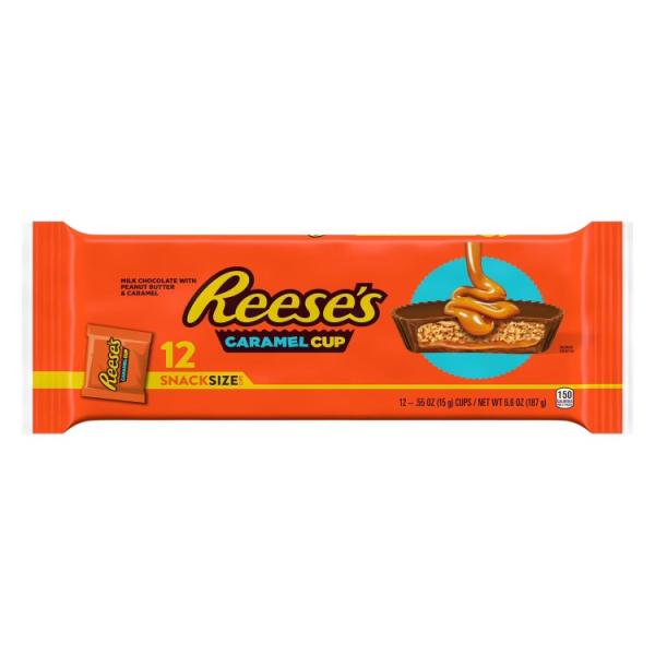 リーシーズ キャラメルミルクチョコレート スナックサイズ ピーナッツバターカップ 12個入り Reese's Caramel Milk Chocolate Sn お取り寄せ
