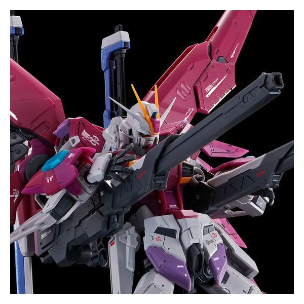 BANDAI（バンダイ） 【新品】1週間以内発送 RG 1/144 デスティニー