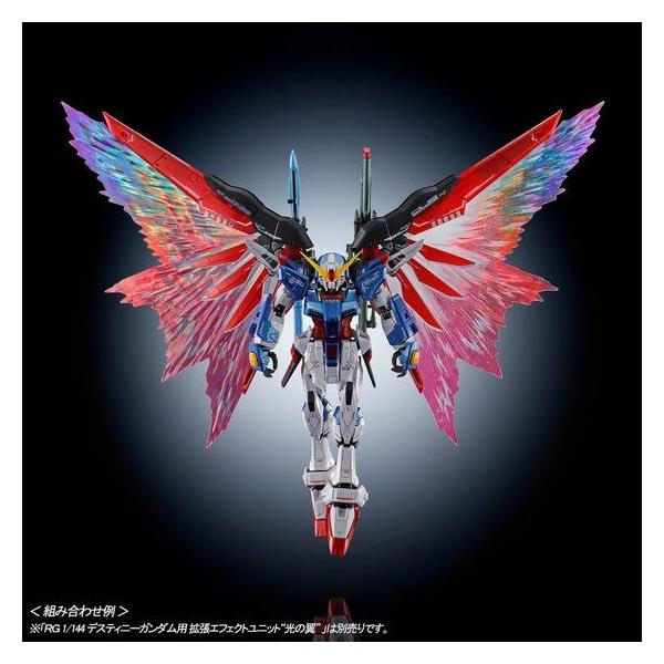 RG 1/144 デスティニーガンダム　チタニウム & 光の翼　セット RG1/144デスティニーガンダム［チタニウムフィニッシュ］&光の