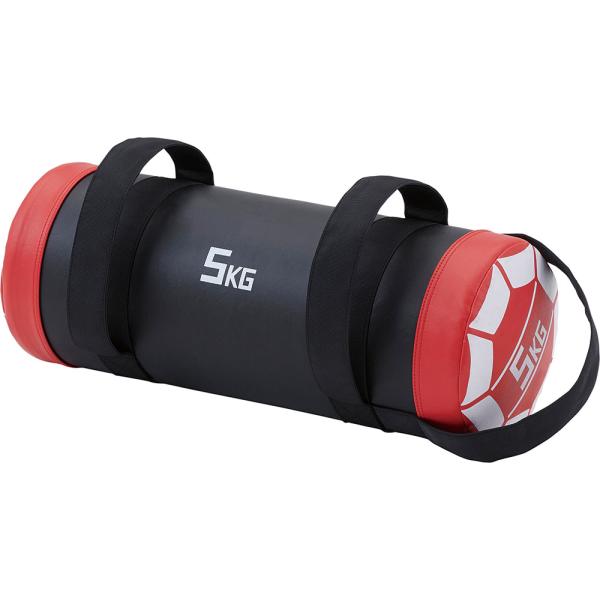 ダンノ DANNO ウエイトバック 5kg レッド 赤 体幹トレーニング ウエイトトレーニング 筋トレ 筋力トレーニング フィットネス 宅トレ 耐久性 耐水性 ウェイト  D7290 DANNO（ダンノ） ウエイトバック 5kg レッド 赤 体幹トレーニング