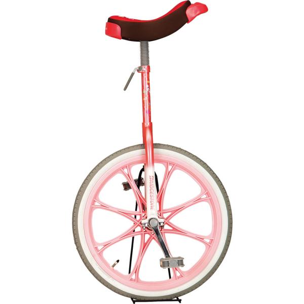 エバニュー EVERNEW 【メーカー直送品】 一輪車 エアタイヤ 20 小学校中学年 高学年 パステル調 空気注入式 学校 遊び レクリエーション 体操 練習 休み時間  EKD344　お求めやすいエアタイヤ仕様(空気注入式)。パステル調...