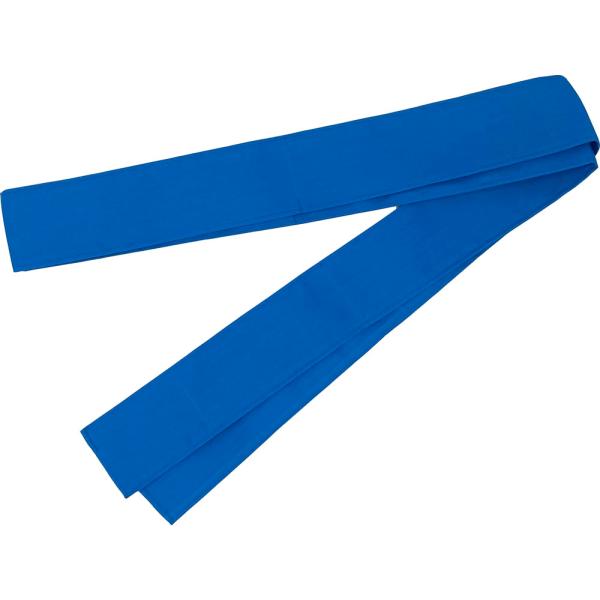 カネヤ KANEYA たすき 運動会 K-2325 メンズ レディース 学校体育器具 学校備品 グッズ 小物 学校 幼稚園 体育 運動会 部活 レクリエーション  K2325 BL　スタンダードなタスキです。  爆買
