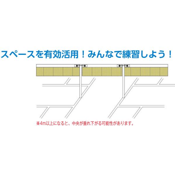 三和体育 バドミントン 支柱間用 バドミントンネット  S0443　バドミントン 　スペースを有効活用!コートとコートの間に張れるバドミントン用ネット。スペースを有効活用することで多人数での練習に最適。  爆買