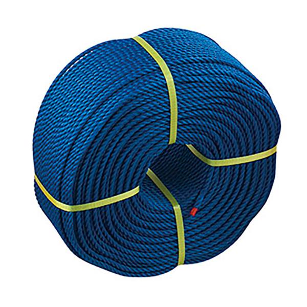 三和体育 グラウンドロープ6mm×200m ロープのみ 青 学校 体育 部活 授業 備品 器具 運動会 体育祭 レクリエーション マーキング 整備 グラウンド 校庭  S2879 SANWA TAIKU 三和体育 グラウンドロープ6mm×200m ロープのみ 青 学校