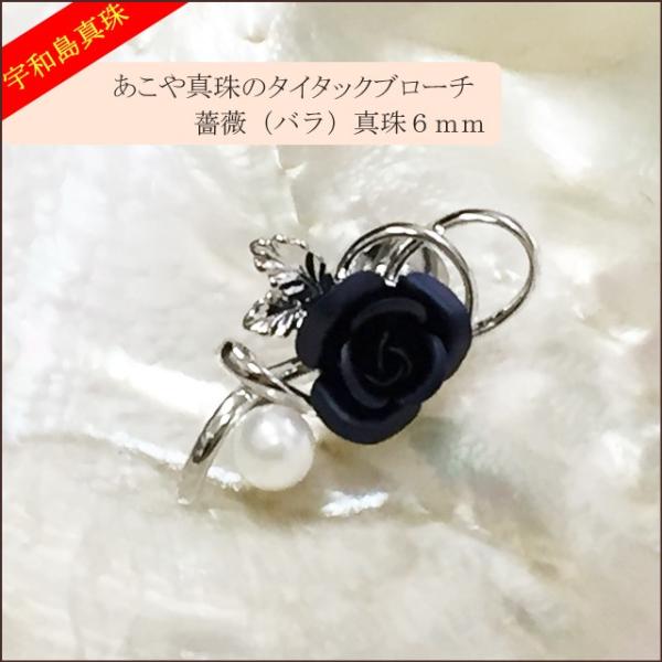 yFa^z^̃^C^bNu[`KNij^6