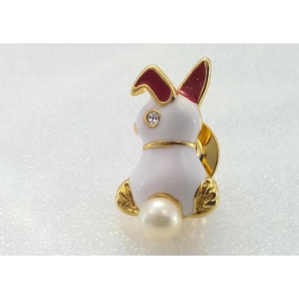 cWg^̃su[`@v[{[C@{^@^bNu[`@@zCg