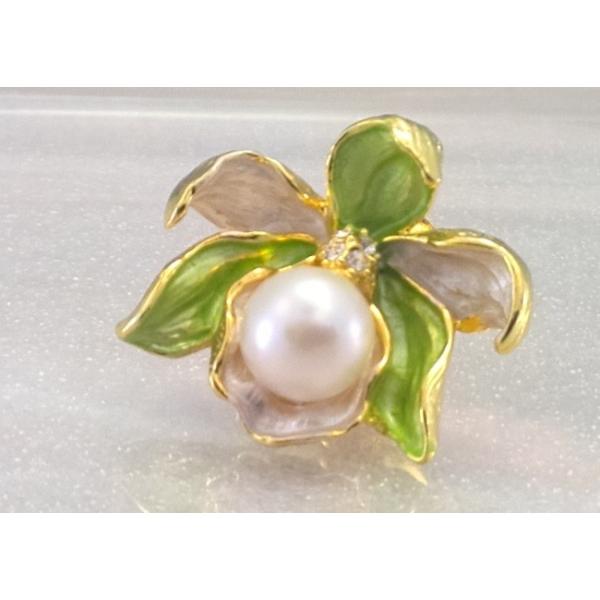 cWg^̃su[`@JgA@{^@^bNu[`@ԁ@O[t[