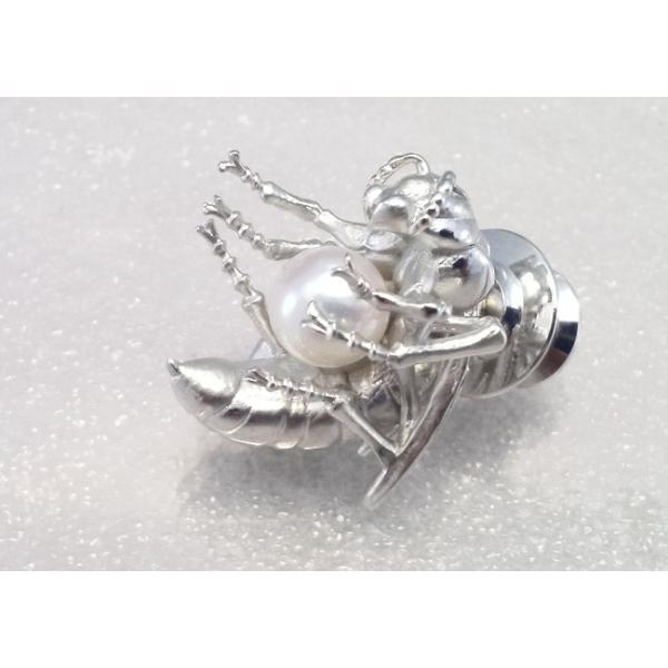 cWg^̃^bNu[`@{^  SV  I@Vo[su[`@sNp[