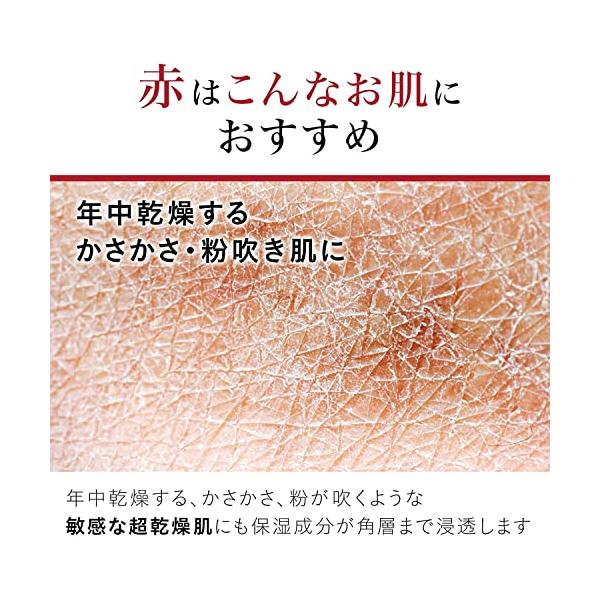 spices_sp1844295e00_4_d_20230218032533