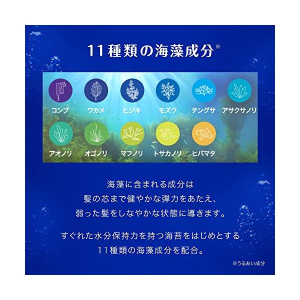 spices_sp1d99fee71b_3_d_20221016005242