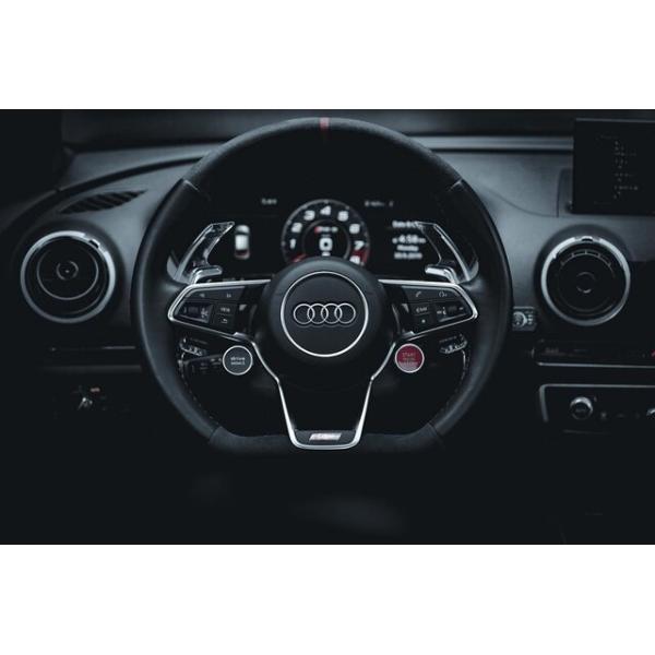 LEYO motorsport PD アルミパドルシフター/Audi TT8S AUDI TT/TTS(8S:FV) RS3(8V)/RS5(F5) アルミパドルシフター【PD