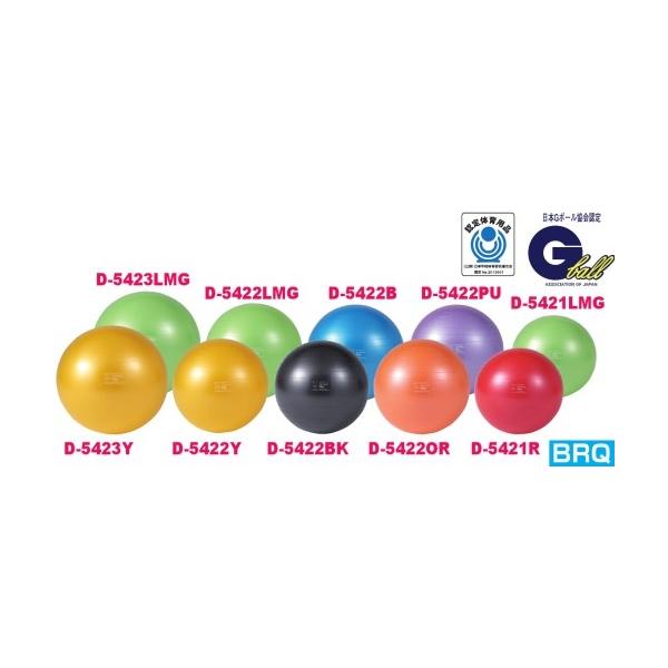 体ほぐし運動の必需品！楽しく遊び感覚で、全身の筋肉が鍛えられ、体の歪を直すエクササイズボール！ギムニク製品は、厳しいことで知られるドイツ TUV − GS テストにこの業界では初めて、そして唯一合格しています。トレーニングに利用するためのボ...