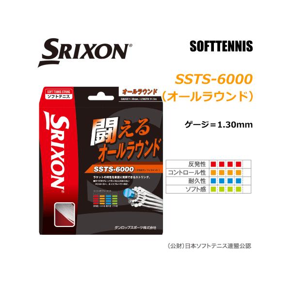 テニス スリクソン SRIXON テニス ネットポスト ポータブル SST-6000