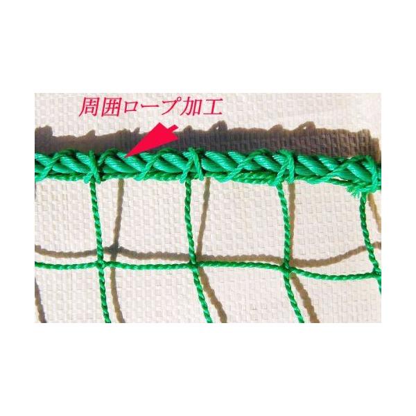 野球ネット 81l-8xGvruL._AC_UL210_SR210,