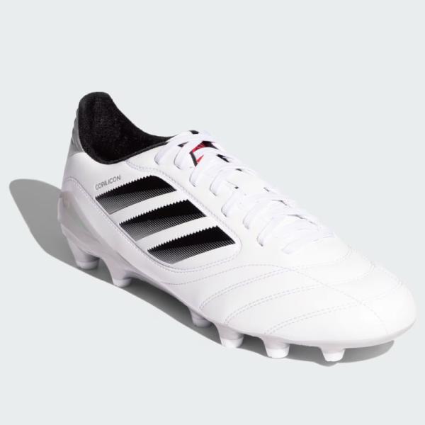 sports-box_js3824