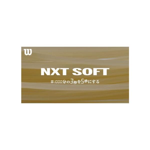 ウィルソン soft テニスガット nxtの人気商品・通販・価格比較 - 価格.com