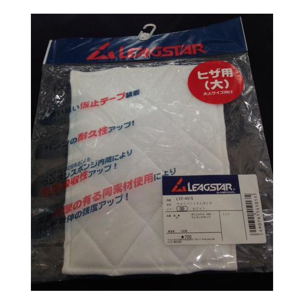 LgpbhlpqU@zCg@[OX^[@LYZ-4315@i