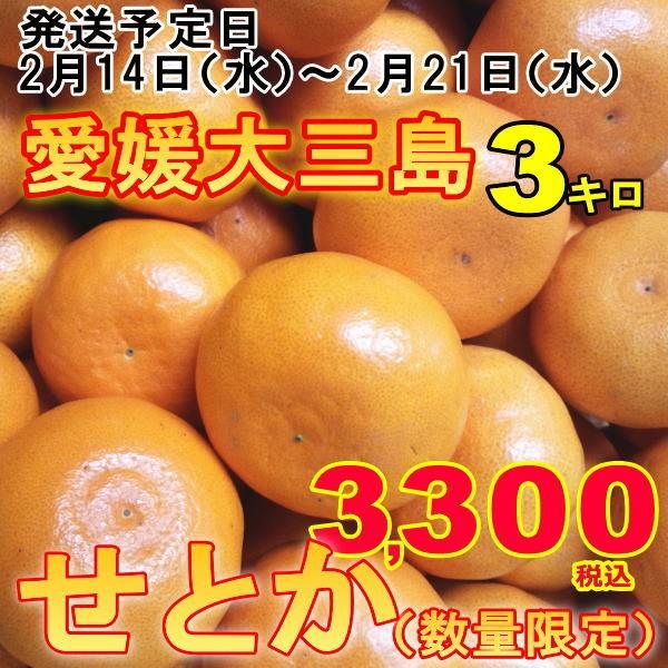 せとか 家庭用 5Kg＋清見5Kg 広島県 瀬戸田 瀬戸内 しまなみ海道 000000000636-04.jpg?size=l&w=