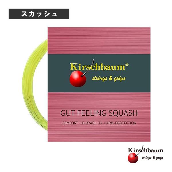キルシュバウム スカッシュストリング（単張）  ガットフィーリング／GUT FEELING／スカッシュ（GF109／GF115／GF122）「テニス・ソフトテニス・バドミントン・野球・ソフトボール・卓球・ランニング専門店