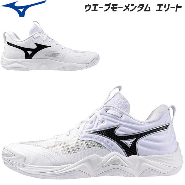 MIZUNO（ミズノ） 【即納】ミズノ バレーボールシューズ ローカット