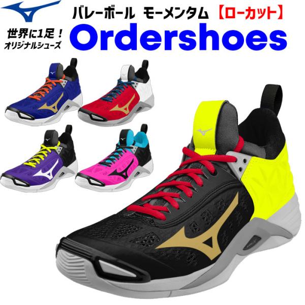 ミズノMIZUNO ウェーブモーメンタム バレーボールシューズ24