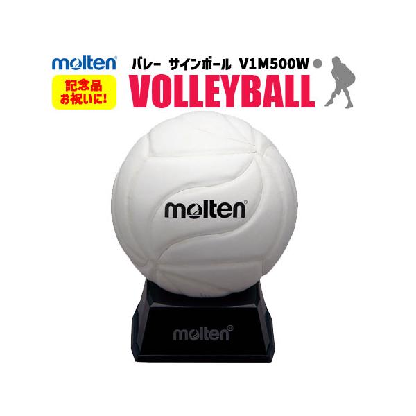 バレーボール サインボールの人気商品 通販 価格比較 価格 Com