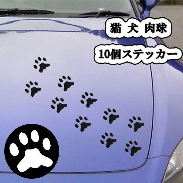   10 V[ XebJ[ e[v L   h LY B O J[pi 