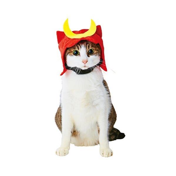 ペティオ 猫用 変身ほっかむり カブト コスチューム コスプレ 猫服