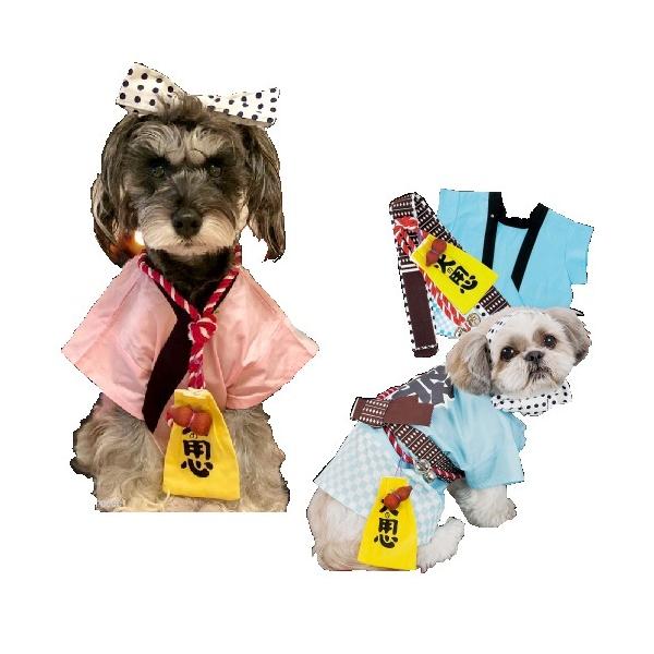 犬服・アクセサリー ponpon PomPreece ポンポリース 祭 はんてんセット 7号・8号・9号 10号