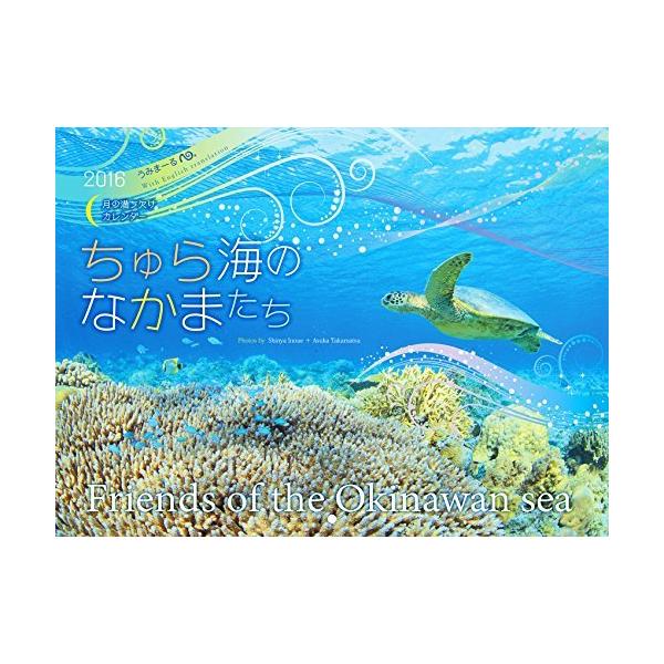 デバスズメダイ みんな探してる人気モノ デバスズメダイ 靴