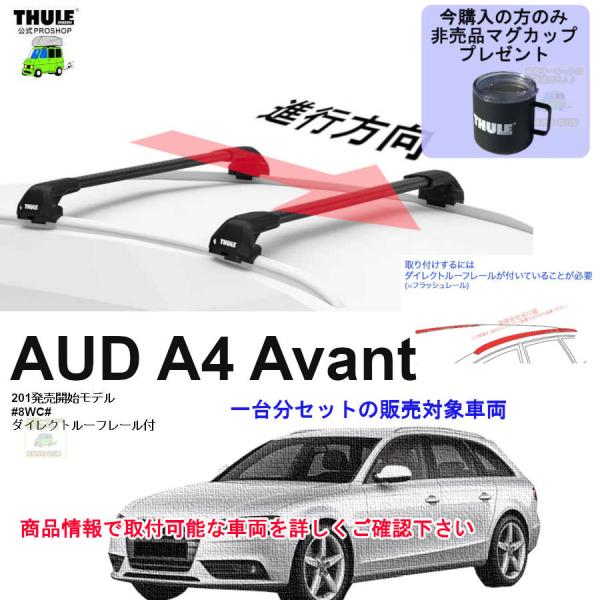 sptanigawaya_audi0099eeb