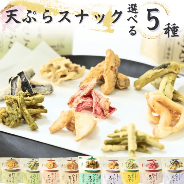 MDホールディングス 野菜チップス 天ぷらスナック 9種から選べる5種