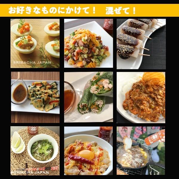 スリラチャの赤備え 517g 1本｜sriracha-japan-shop｜03