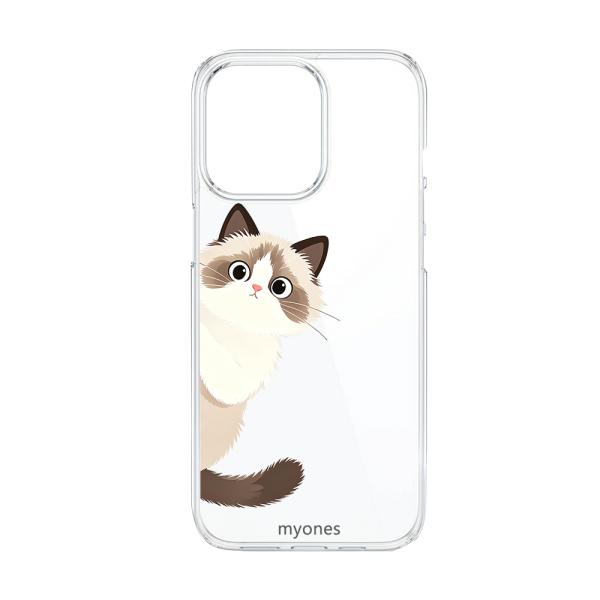 ss-link_a-cl-cat12-ip15-475