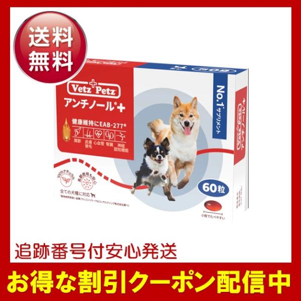 アンチノールプラス 犬用 サプリメント 60粒