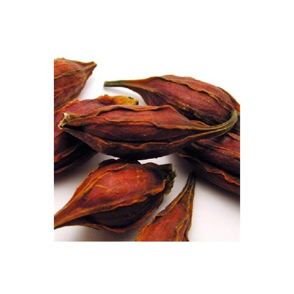 GABAN@iMoj@@N`iV@1kg z[@܁@Ɩp