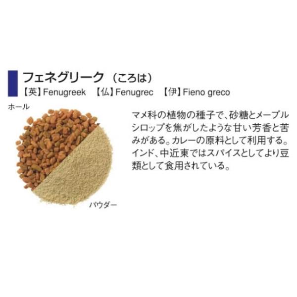 GABANiMoj@tFlO[N@75g@pE_[@