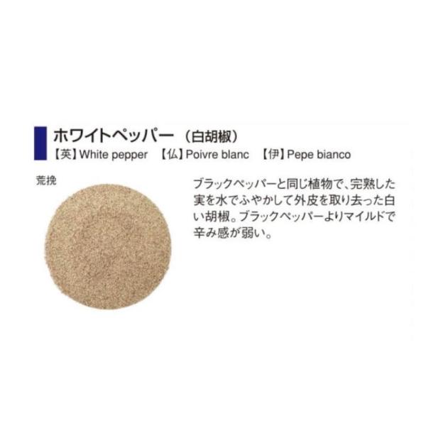 GABAN�i�M���o���j�@�z���C�g�y�b�p�[�@420g�@��