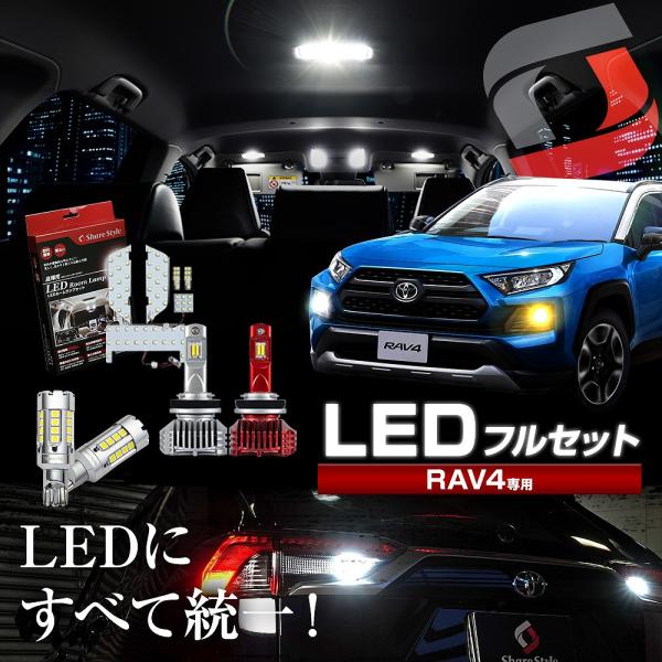 RAV4 50系 LEDフォグランプキット Type2 バックライト付き
