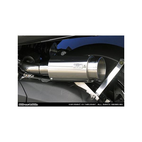 WirusWin }WFXeB250 (4D9)pTCT[^ GAN[i[KitoY[J[^Cv /ECYEB